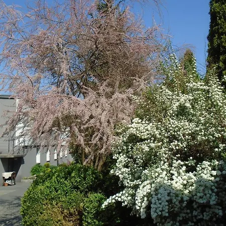 Art Korab Bed & Breakfast *