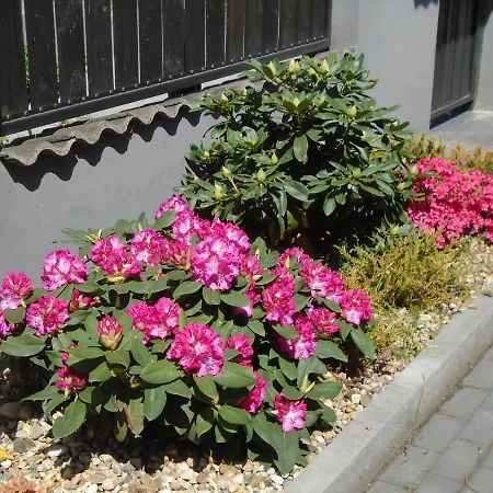 Art Korab Bed & Breakfast