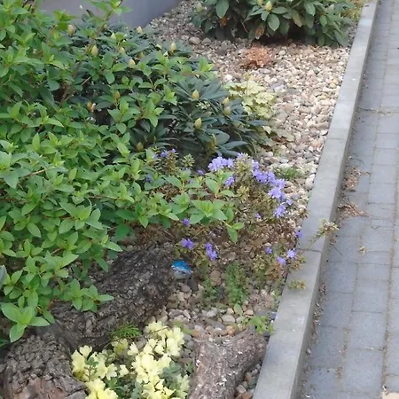 Bed & Breakfast Art Korab Hlivice