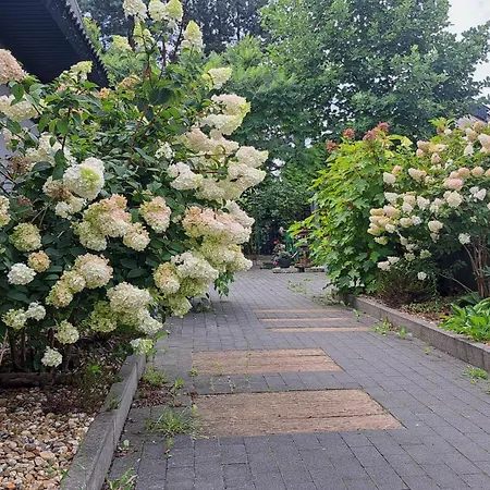 Oda ve Kahvaltı Art Korab Gliwice