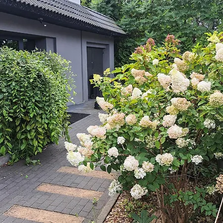 Art Korab Oda ve Kahvaltı 4*