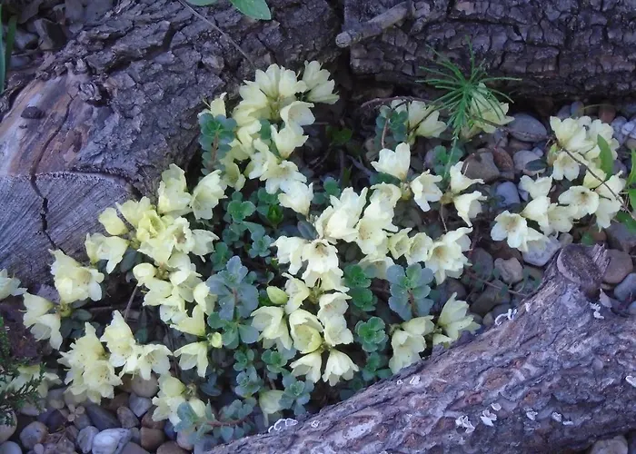 Bed & Breakfast Art Korab Gliwice