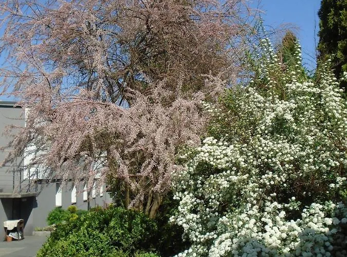 Art Korab Bed & Breakfast 4*