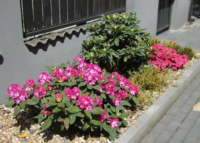 Art Korab Bed & Breakfast