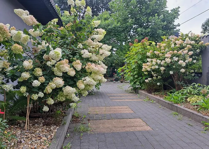 Bed & Breakfast Art Korab Gliwice