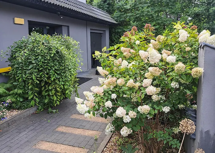 Art Korab לינה וארוחת בוקר 4*